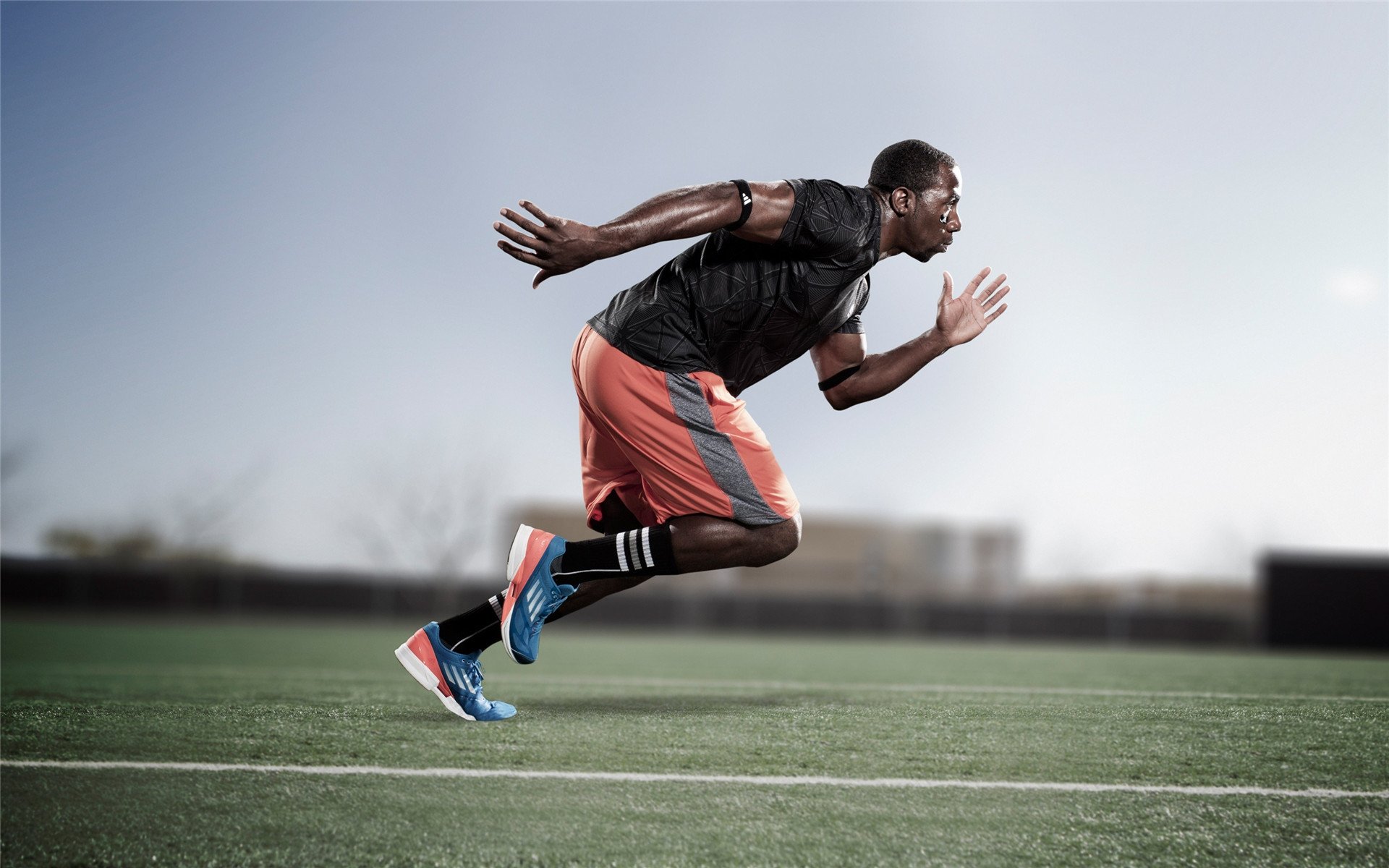 洛杉矶FC球迷支持力度加大,主场气氛火爆,洛杉矶fc战绩